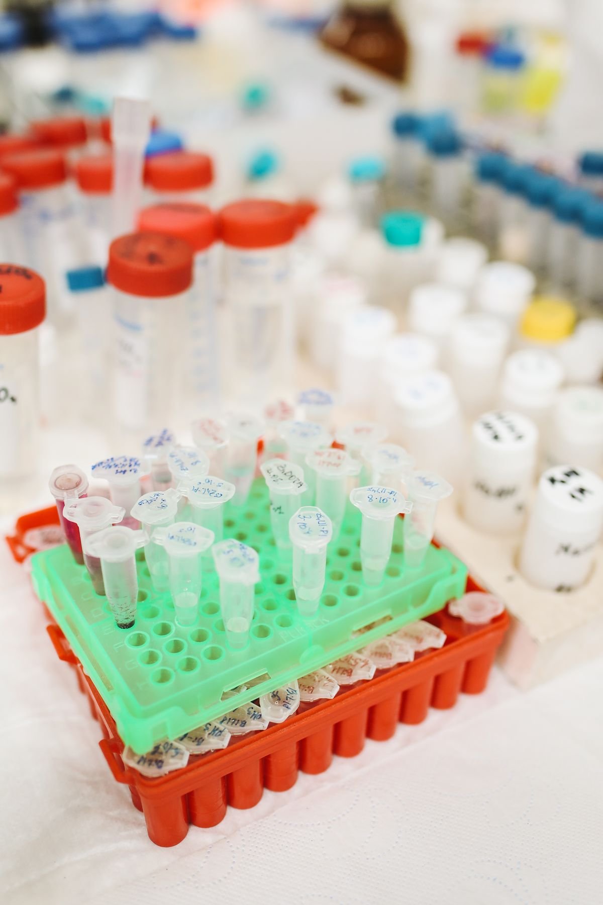 Laboratory chemicals test tubes fit-out Dubai