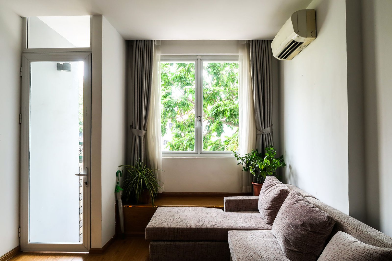 Bright cozy living room with a sofa, indoor plants, and a wall-mounted air conditioner