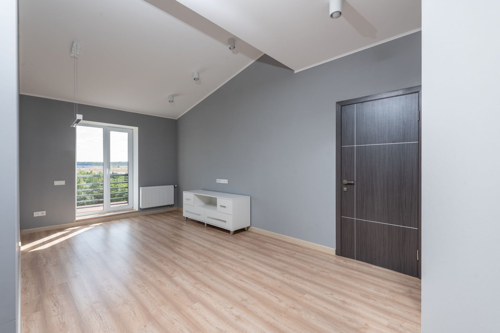 Freshly painted grey walls in an empty apartment living room with dark wood door
