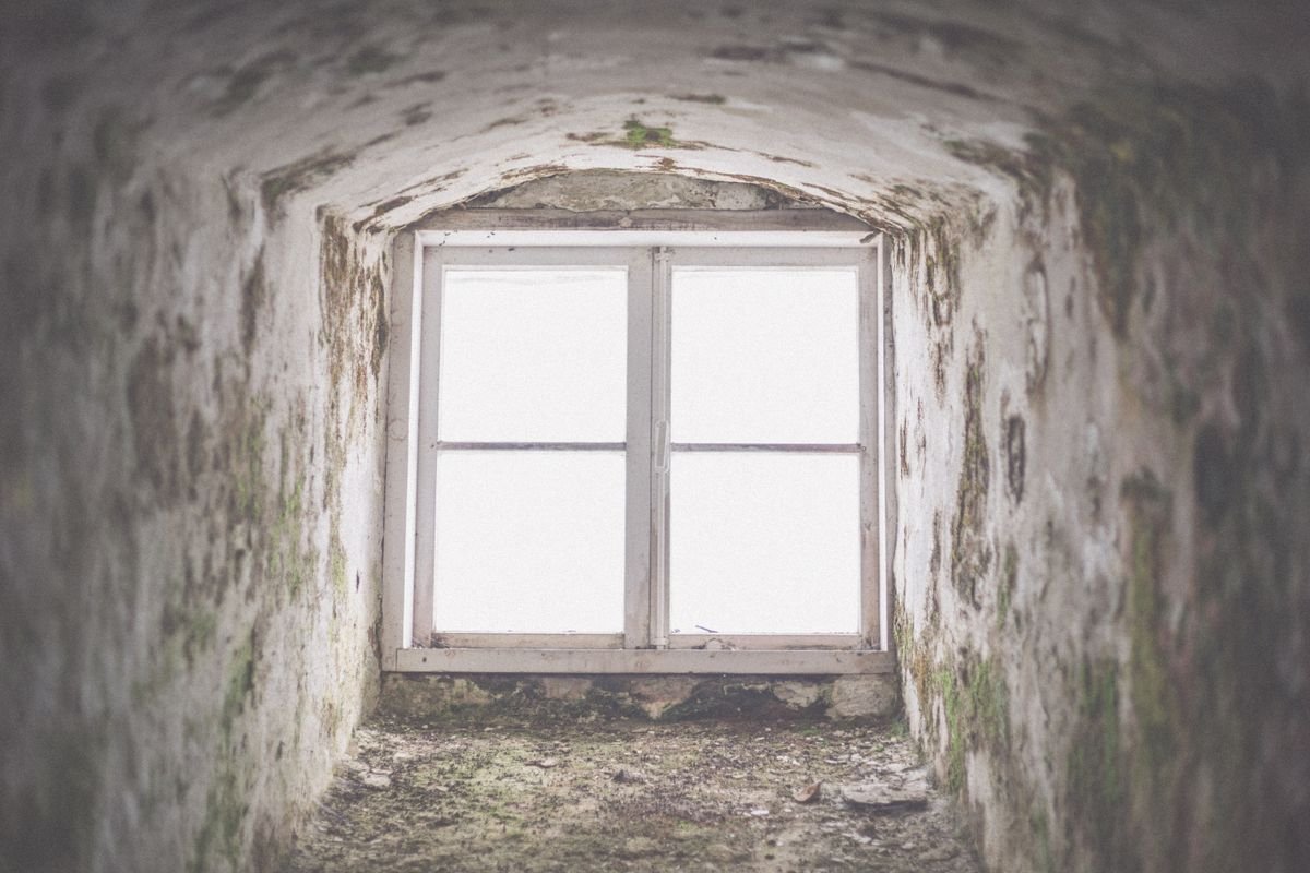 Weathered window in a damp, neglected building showing moisture damage