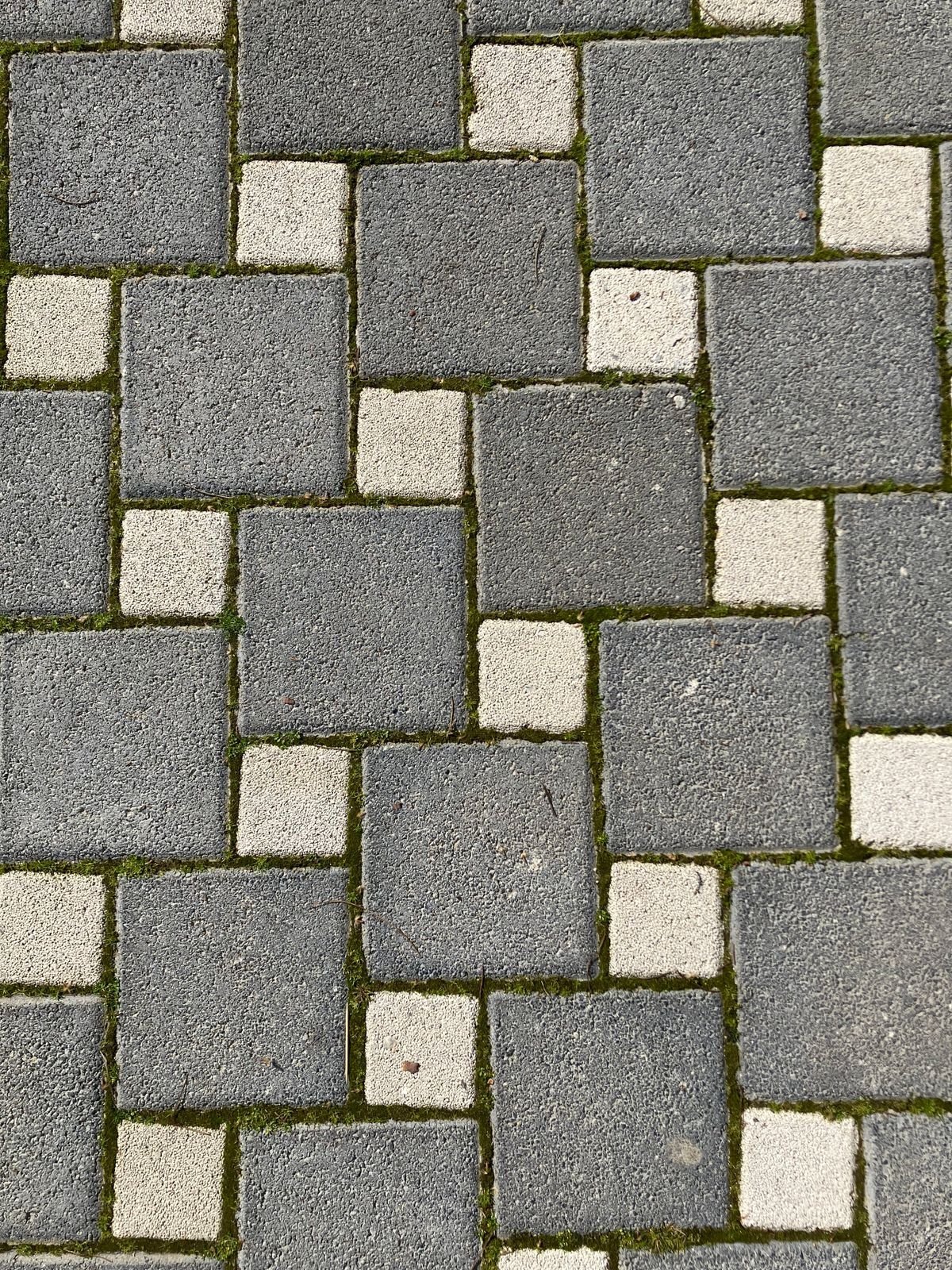 Grey and white interlock pavers in a staggered pattern with moss in the joints