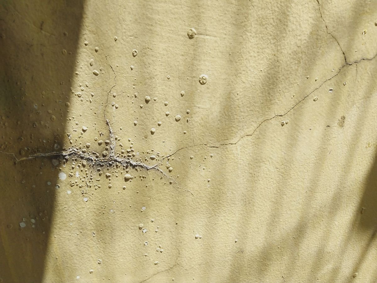 Cracked wall surface with damaged paint and plaster