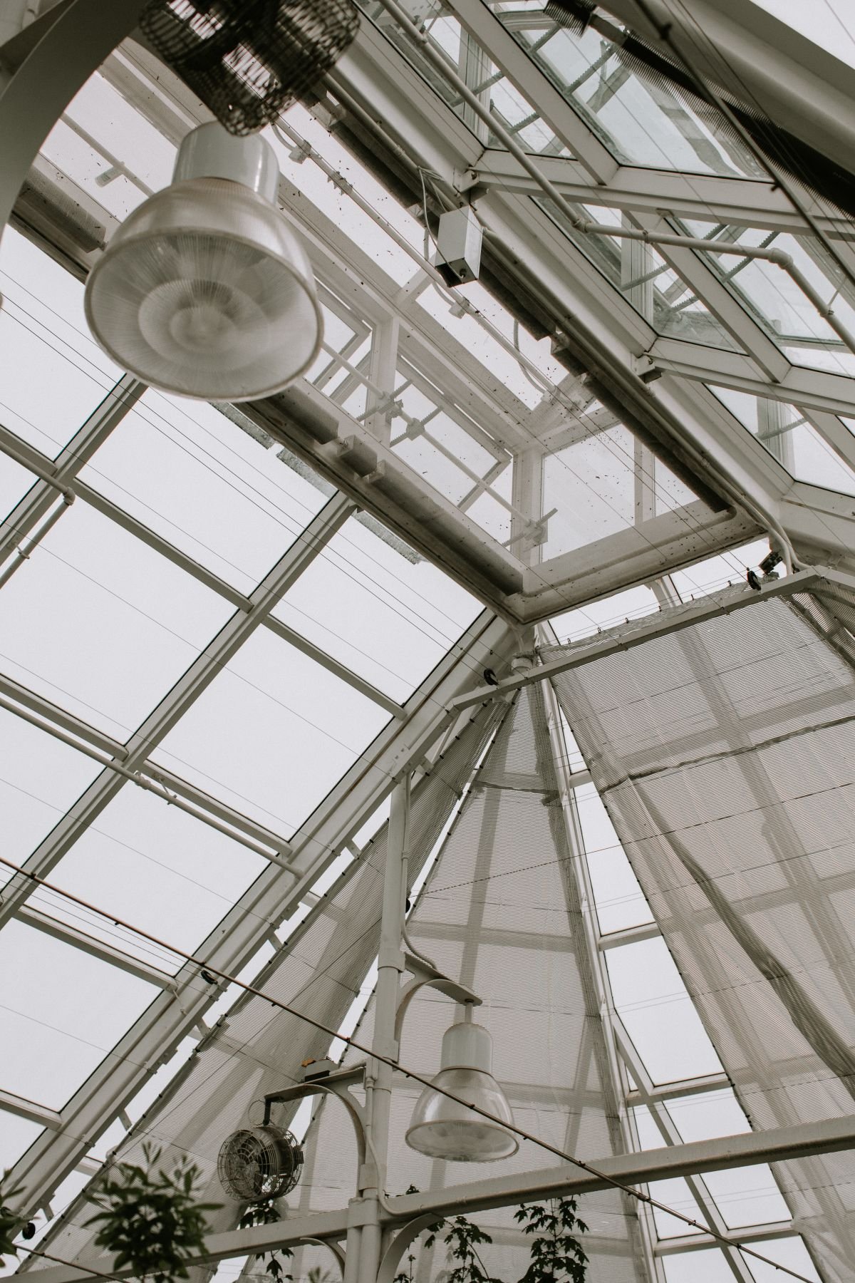 Steel and glass roof structure seen from below in a large commercial building