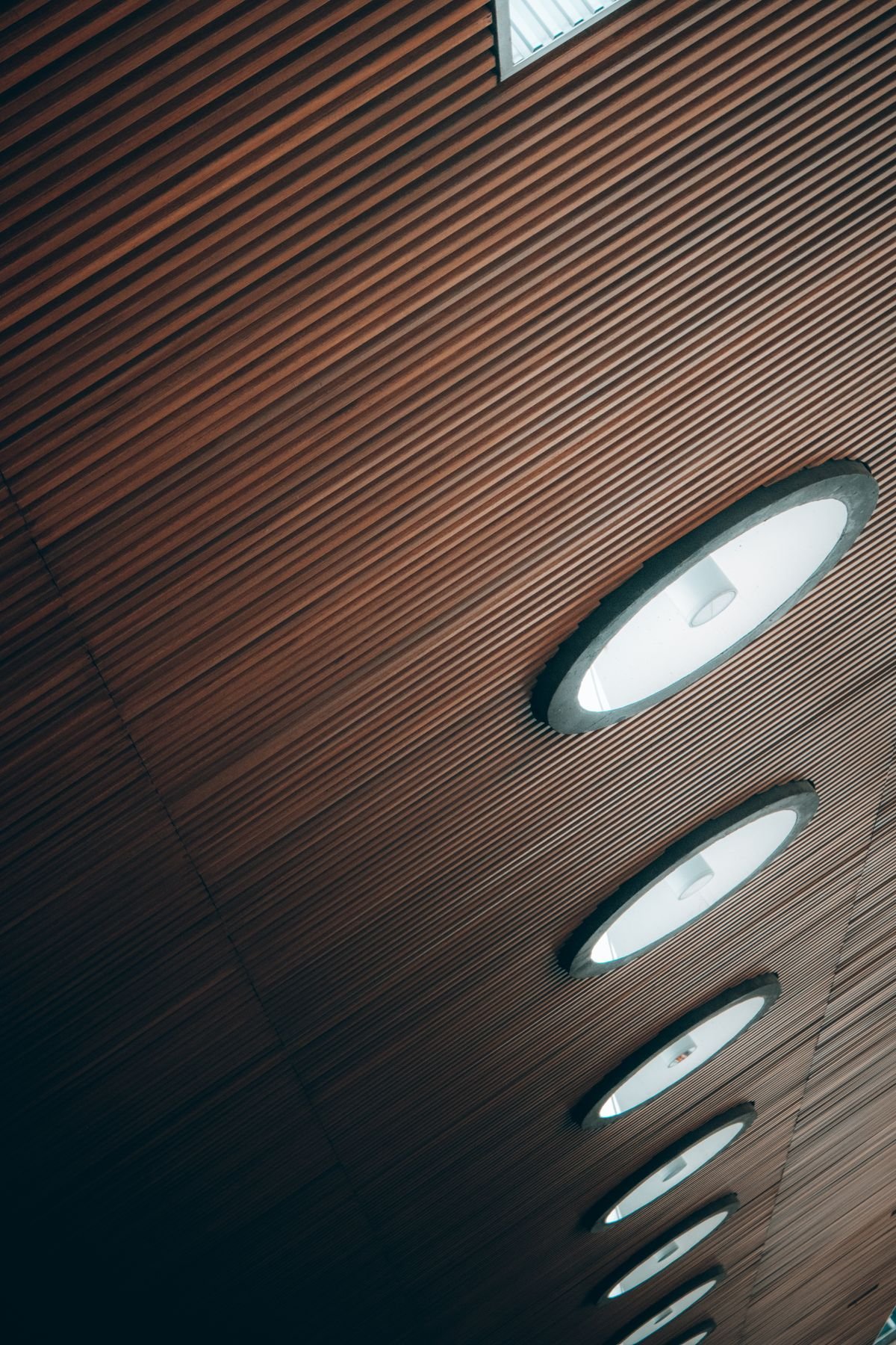 Timber-slat ceiling with circular recessed light fixtures