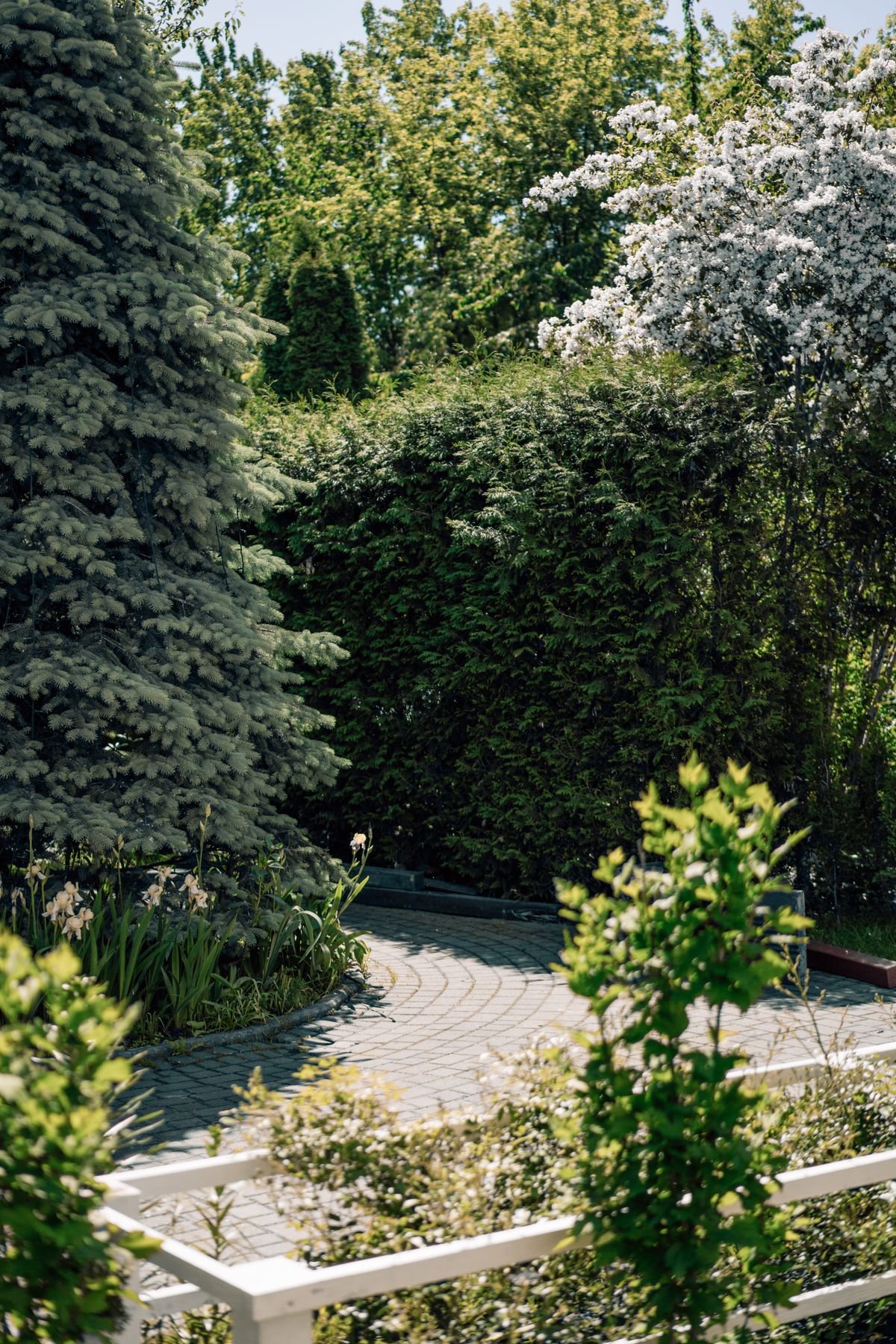 Curved brick paved garden path lined with greenery and blooming trees