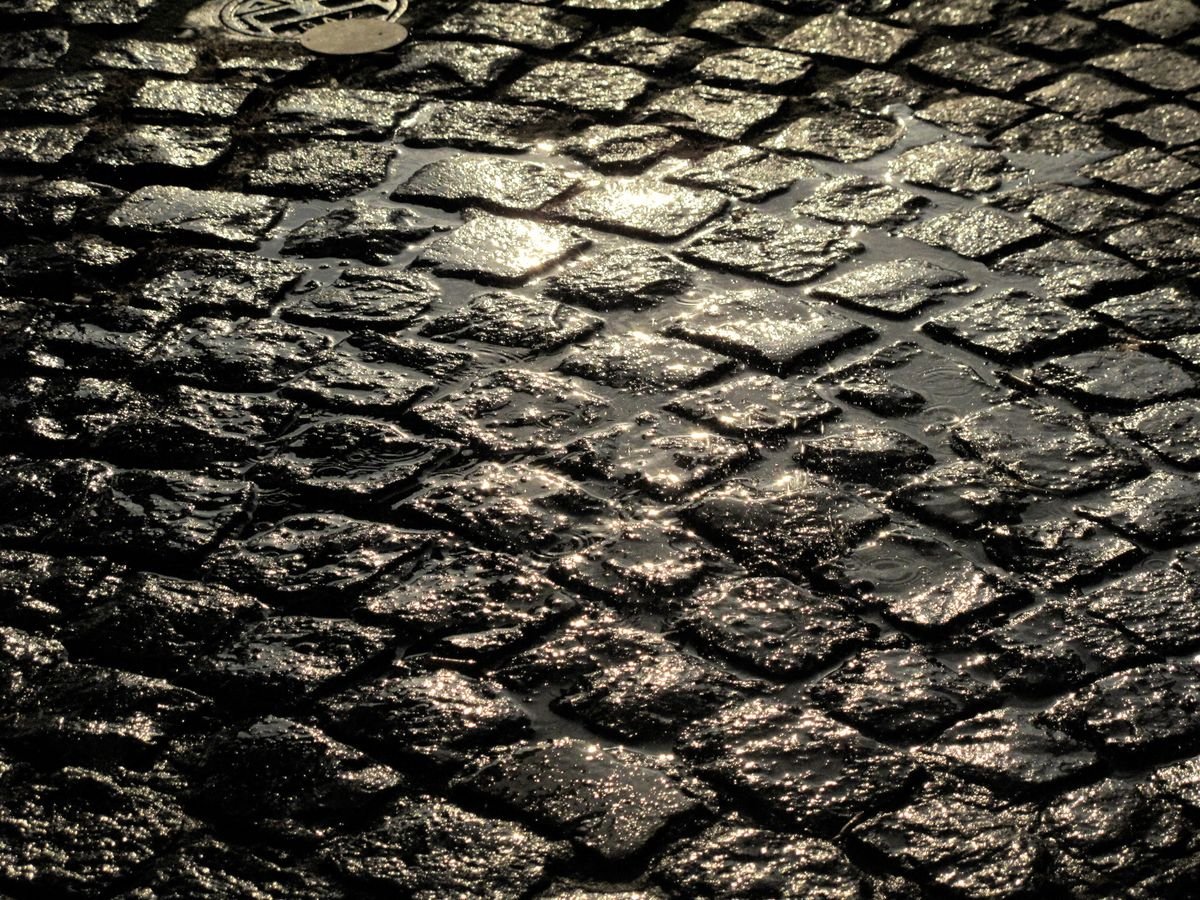 Wet cobblestone surface reflecting light, showing where water collects