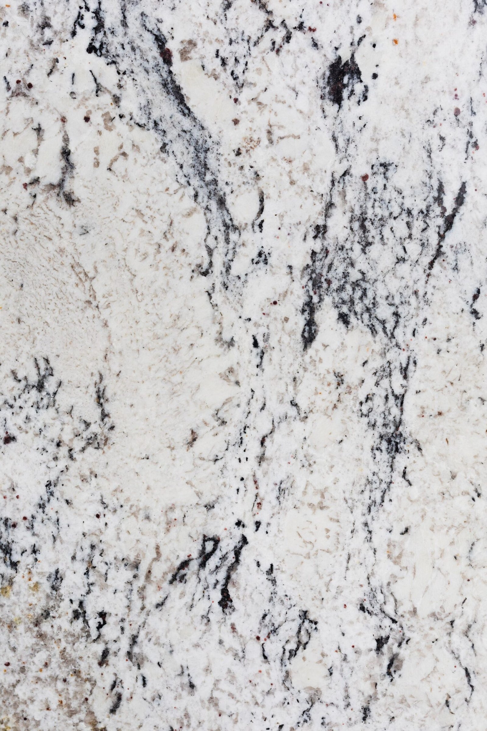 White marble slab with bold black veining ready for installation