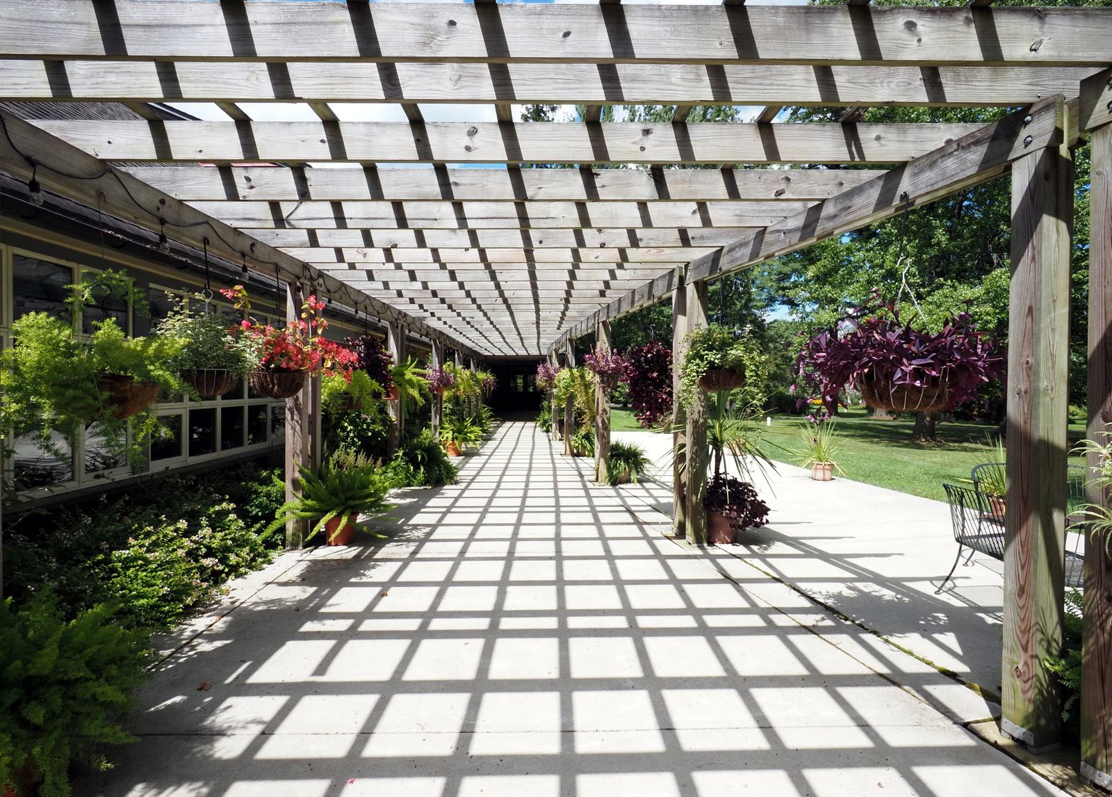 Sunlit wooden pergola walkway with hanging plants