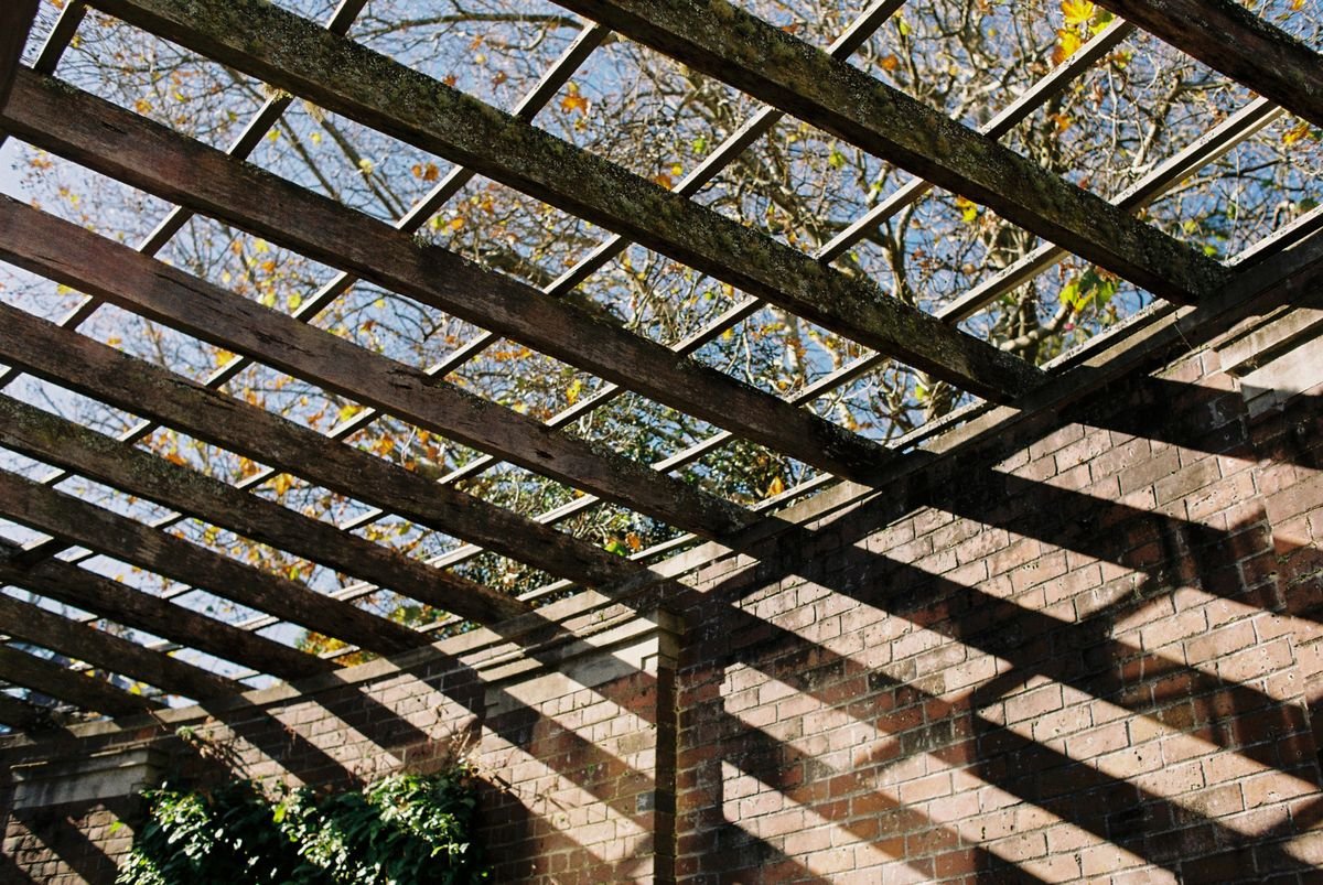 Rustic wooden pergola casting shadows on a brick wall