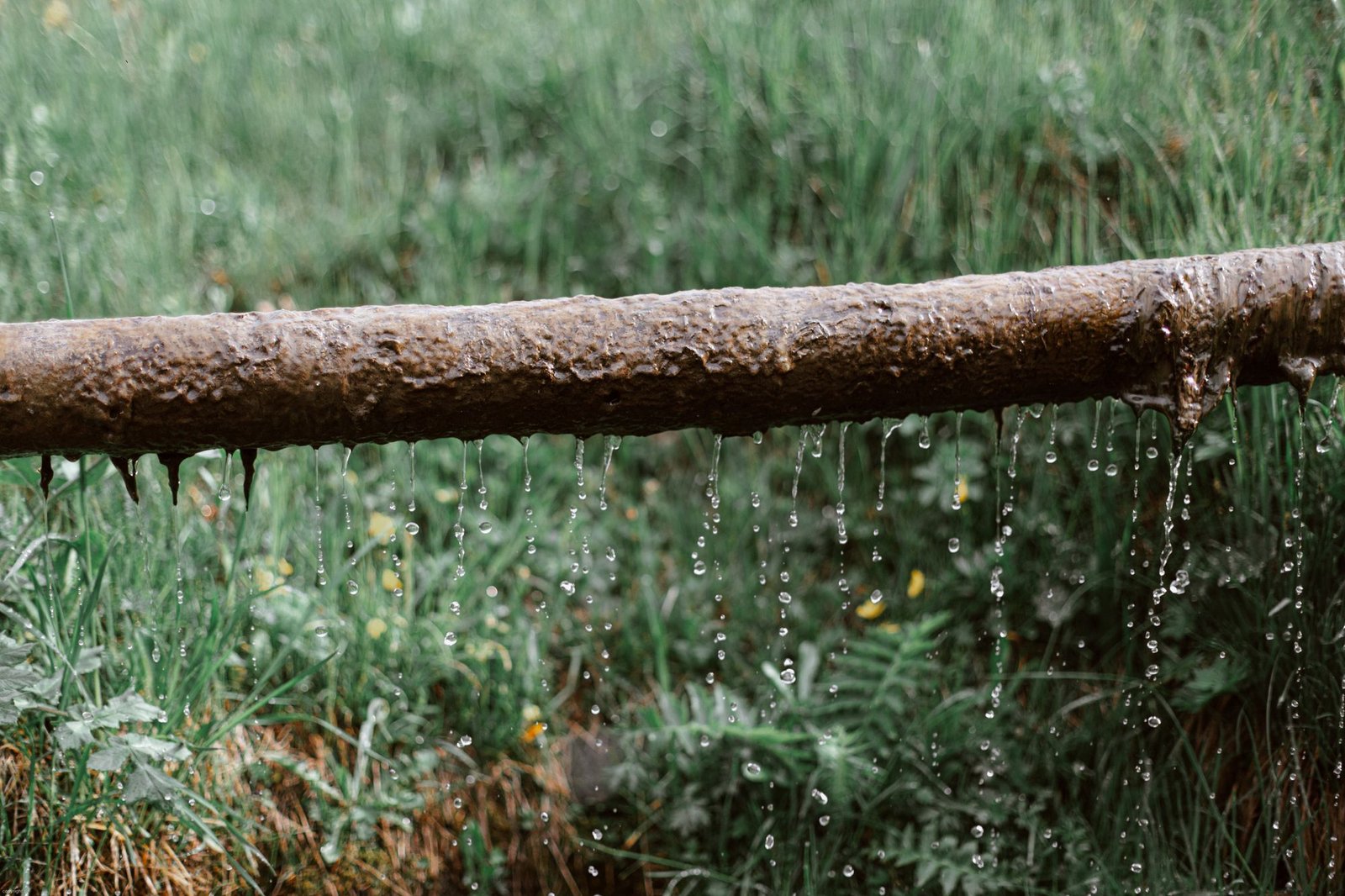 Aged rusted pipe leaking heavily with water dripping into a lush green lawn